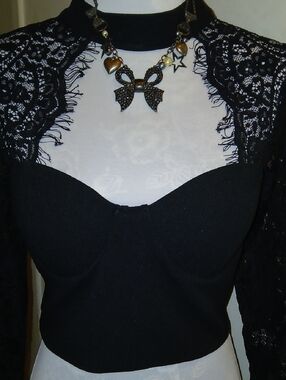 Fashion Nova Black Lace-Trimmed Cropped Bustier Top